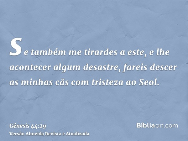 se também me tirardes a este, e lhe acontecer algum desastre, fareis descer as minhas cãs com tristeza ao Seol.