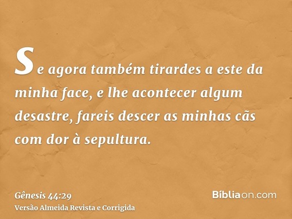 se agora também tirardes a este da minha face, e lhe acontecer algum desastre, fareis descer as minhas cãs com dor à sepultura.