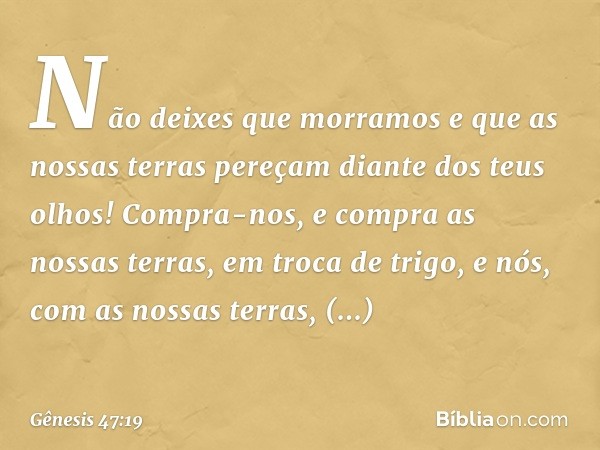 Não deixes que morramos­ e que as nossas terras pe­reçam diante dos teus olhos! Compra-nos, e compra as nossas terras, em troca de ­trigo, e nós, com as nossas 