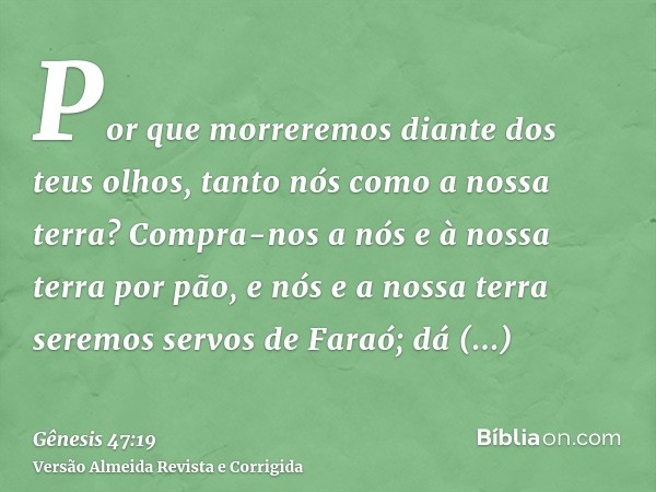 Por que morreremos diante dos teus olhos, tanto nós como a nossa terra? Compra-nos a nós e à nossa terra por pão, e nós e a nossa terra seremos servos de Faraó;