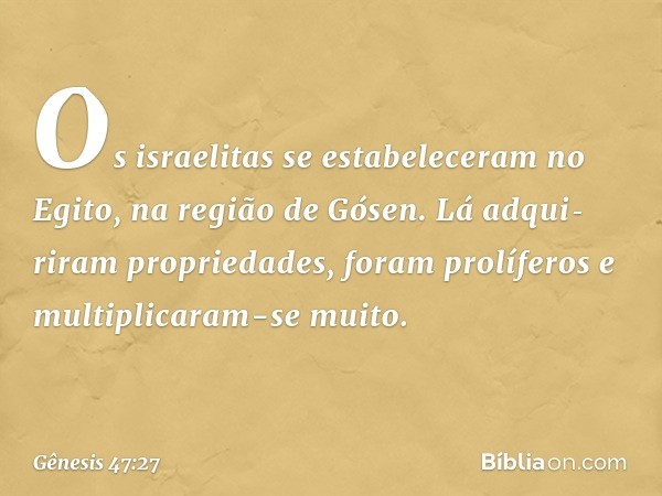 Os israelitas se estabeleceram no Egito, na região de Gósen. Lá adqui­riram proprieda­des, foram prolíferos e multiplicaram-se muito. -- Gênesis 47:27