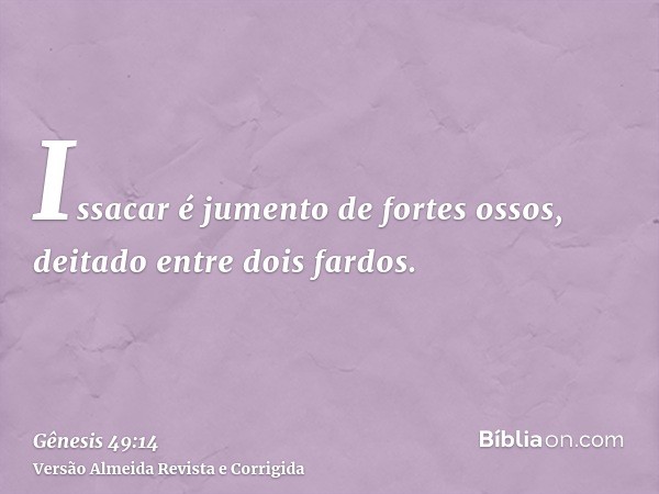 Issacar é jumento de fortes ossos, deitado entre dois fardos.