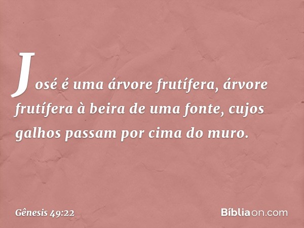 José é uma árvore frutífera,
árvore frutífera à beira de uma fonte,
cujos galhos passam por cima do muro. -- Gênesis 49:22