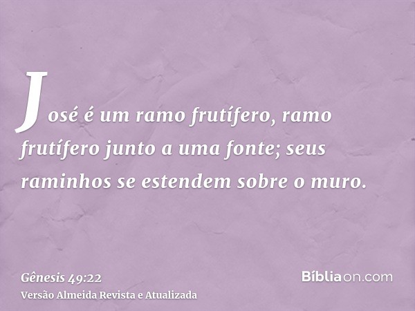 José é um ramo frutífero, ramo frutífero junto a uma fonte; seus raminhos se estendem sobre o muro.