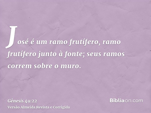 José é um ramo frutífero, ramo frutífero junto à fonte; seus ramos correm sobre o muro.