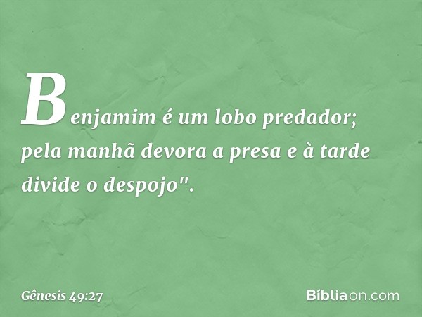 Benjamim é um lobo predador;
pela manhã devora a presa
e à tarde divide o despojo". -- Gênesis 49:27