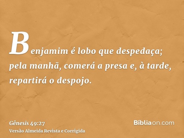 Benjamim é lobo que despedaça; pela manhã, comerá a presa e, à tarde, repartirá o despojo.