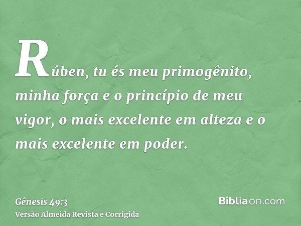 Rúben, tu és meu primogênito, minha força e o princípio de meu vigor, o mais excelente em alteza e o mais excelente em poder.