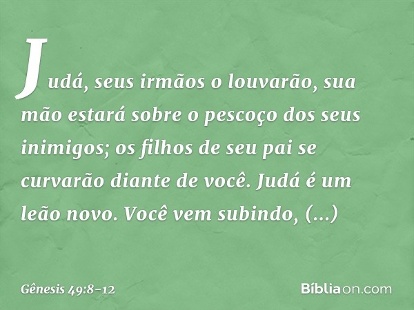 Judá, seus irmãos o louvarão,
sua mão estará sobre o pescoço
dos seus inimigos;
os filhos de seu pai se curvarão
diante de você. Judá é um leão novo.
Você vem s