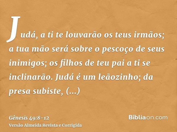 Judá, a ti te louvarão os teus irmãos; a tua mão será sobre o pescoço de seus inimigos; os filhos de teu pai a ti se inclinarão.Judá é um leãozinho; da presa su