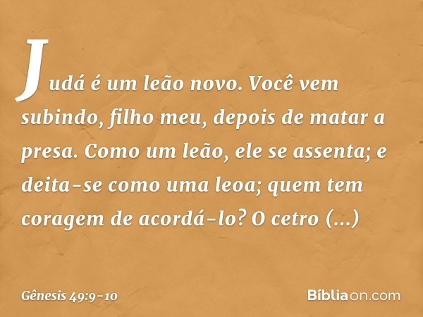 Judá é um leão novo.
Você vem subindo, filho meu,
depois de matar a presa.
Como um leão, ele se assenta;
e deita-se como uma leoa;
quem tem coragem de acordá-lo