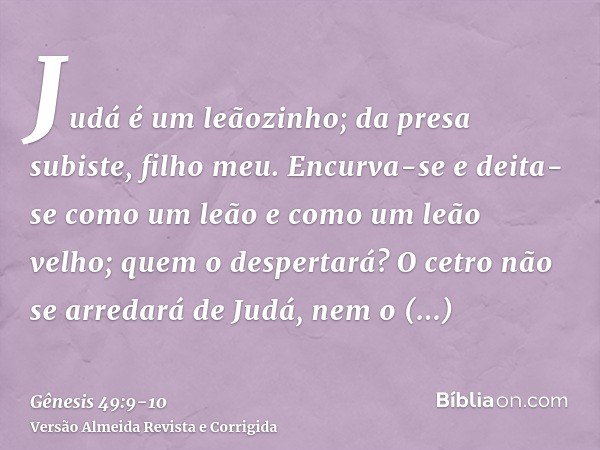 Judá é um leãozinho; da presa subiste, filho meu. Encurva-se e deita-se como um leão e como um leão velho; quem o despertará?O cetro não se arredará de Judá, ne