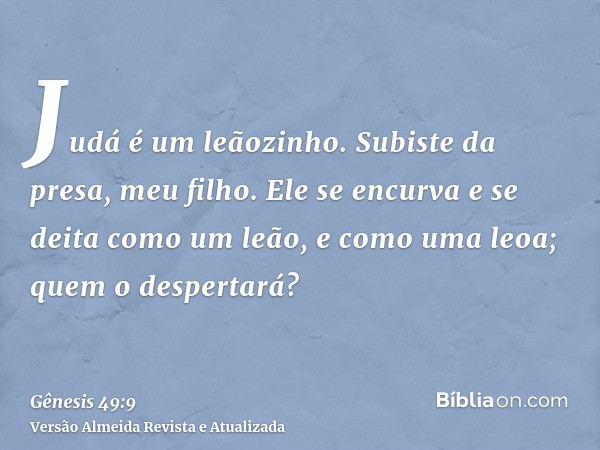 Judá é um leãozinho. Subiste da presa, meu filho. Ele se encurva e se deita como um leão, e como uma leoa; quem o despertará?