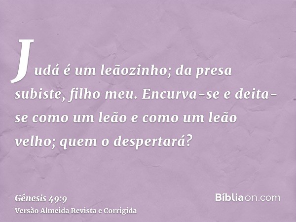 Judá é um leãozinho; da presa subiste, filho meu. Encurva-se e deita-se como um leão e como um leão velho; quem o despertará?
