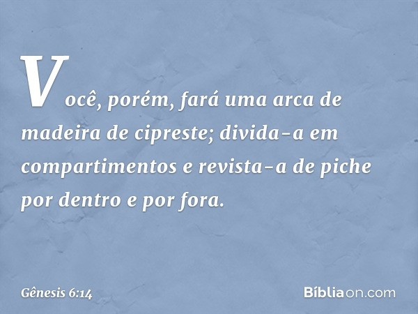 Você, porém, fará uma arca de madeira de cipreste; divida-a em compartimentos e revista-a de piche por dentro e por fora. -- Gênesis 6:14