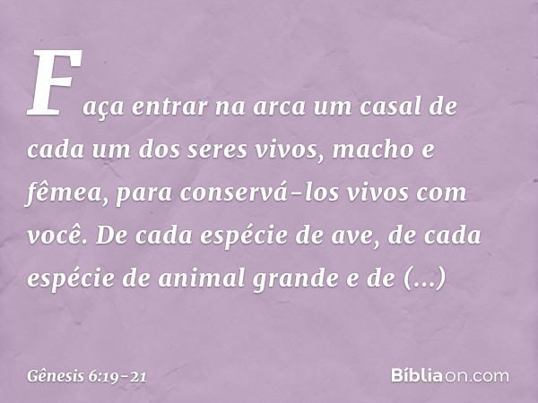 Faça entrar na arca um casal de cada um dos seres vivos, macho e fêmea, para conser­vá-los vivos com você. De cada espécie de ave, de cada espécie de animal gra