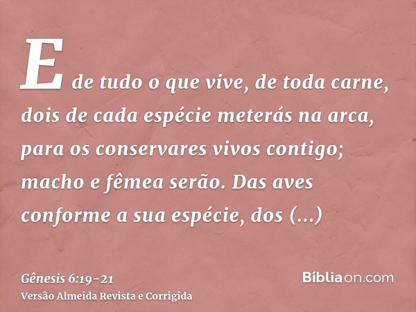 E de tudo o que vive, de toda carne, dois de cada espécie meterás na arca, para os conservares vivos contigo; macho e fêmea serão.Das aves conforme a sua espéci