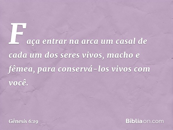 Faça entrar na arca um casal de cada um dos seres vivos, macho e fêmea, para conser­vá-los vivos com você. -- Gênesis 6:19