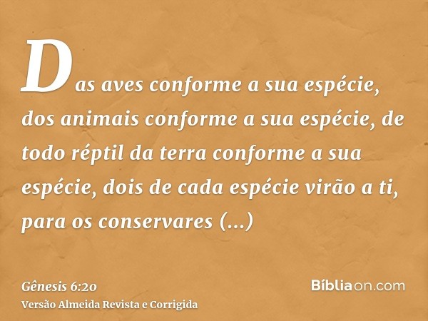 Das aves conforme a sua espécie, dos animais conforme a sua espécie, de todo réptil da terra conforme a sua espécie, dois de cada espécie virão a ti, para os co