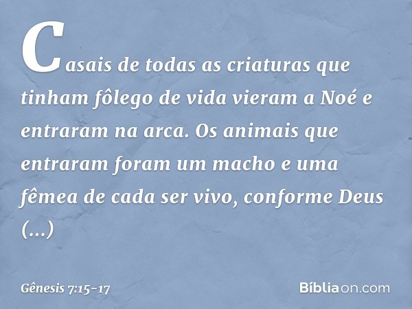 Casais de todas as criaturas que tinham fôlego de vida vieram a Noé e entraram na arca. Os animais que entraram foram um macho e uma fêmea de cada ser vivo, con