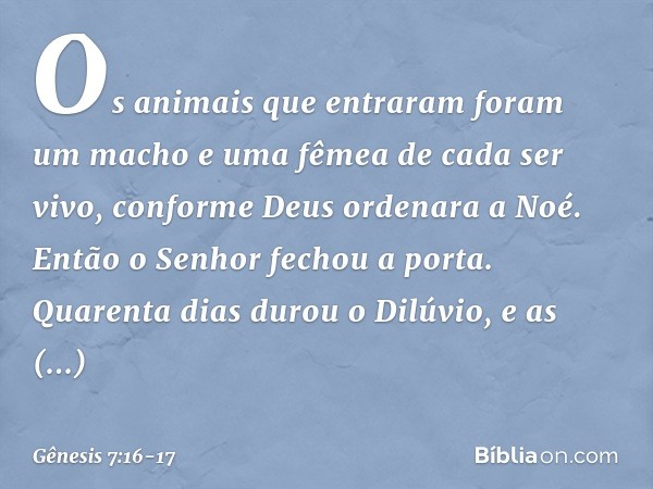 Os animais que entraram foram um macho e uma fêmea de cada ser vivo, conforme Deus ordenara a Noé. Então o Senhor fechou a porta. Quarenta dias durou o Dilúvio,