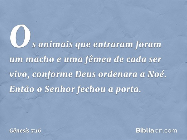 Os animais que entraram foram um macho e uma fêmea de cada ser vivo, conforme Deus ordenara a Noé. Então o Senhor fechou a porta. -- Gênesis 7:16