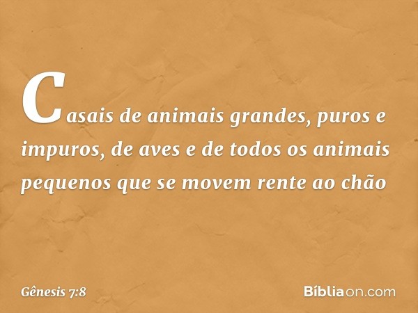 Casais de animais grandes, puros e impuros, de aves e de todos os animais pequenos que se movem rente ao chão -- Gênesis 7:8