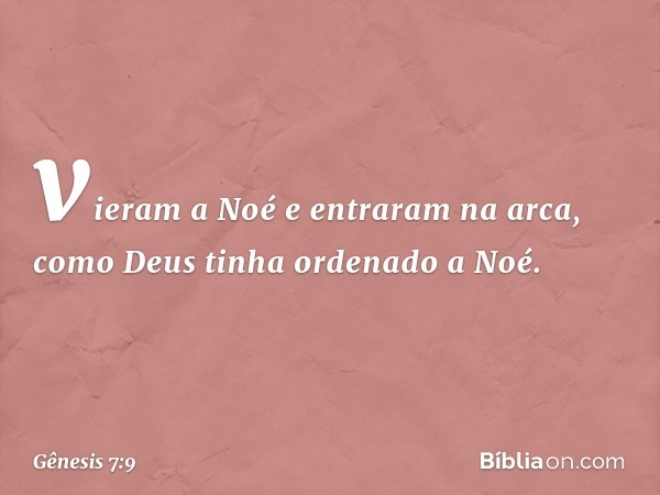 vieram a Noé e entraram na arca, como Deus tinha ordenado a Noé. -- Gênesis 7:9