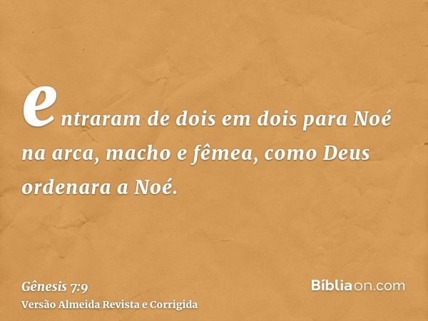 entraram de dois em dois para Noé na arca, macho e fêmea, como Deus ordenara a Noé.