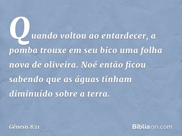 Quando voltou ao entardecer, a pomba trouxe em seu bico uma folha nova de oliveira. Noé então ficou sabendo que as águas tinham diminuído sobre a terra. -- Gêne