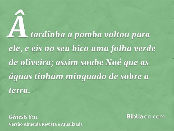 Â tardinha a pomba voltou para ele, e eis no seu bico uma folha verde de oliveira; assim soube Noé que as águas tinham minguado de sobre a terra.