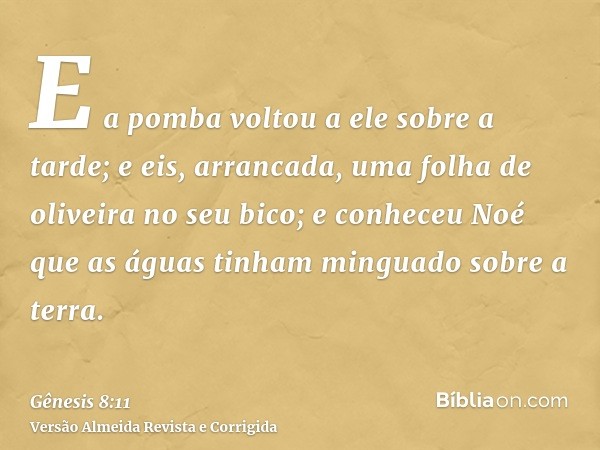 E a pomba voltou a ele sobre a tarde; e eis, arrancada, uma folha de oliveira no seu bico; e conheceu Noé que as águas tinham minguado sobre a terra.
