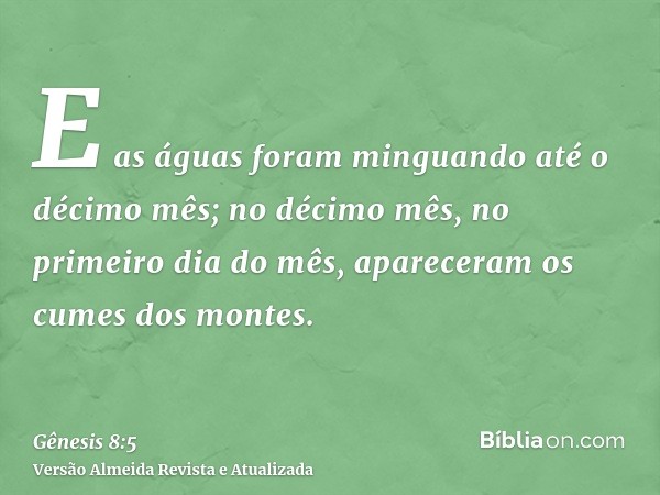 E as águas foram minguando até o décimo mês; no décimo mês, no primeiro dia do mês, apareceram os cumes dos montes.