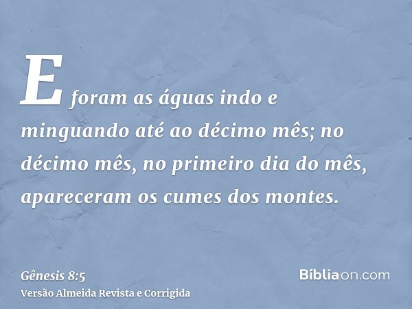 E foram as águas indo e minguando até ao décimo mês; no décimo mês, no primeiro dia do mês, apareceram os cumes dos montes.