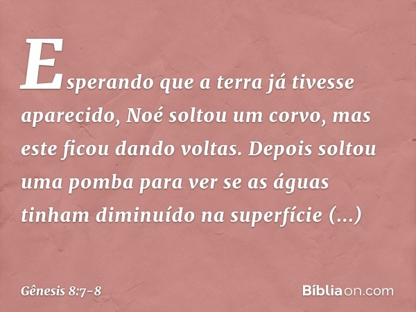 Esperando que a terra já tivesse aparecido, Noé soltou um corvo, mas este ficou dando voltas. Depois­ soltou uma pomba para ver se as águas tinham diminuído na 
