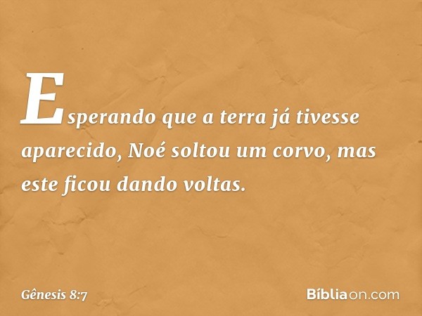 Esperando que a terra já tivesse aparecido, Noé soltou um corvo, mas este ficou dando voltas. -- Gênesis 8:7