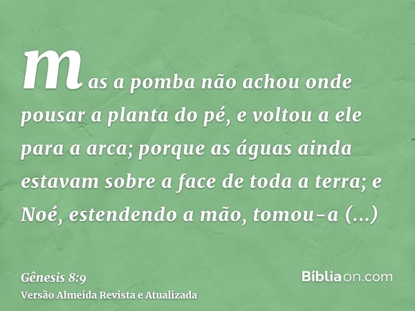 mas a pomba não achou onde pousar a planta do pé, e voltou a ele para a arca; porque as águas ainda estavam sobre a face de toda a terra; e Noé, estendendo a mã