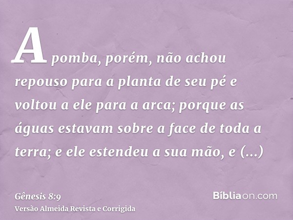 A pomba, porém, não achou repouso para a planta de seu pé e voltou a ele para a arca; porque as águas estavam sobre a face de toda a terra; e ele estendeu a sua