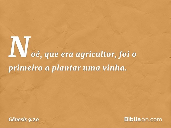 Noé, que era agricultor, foi o primeiro a plan­tar uma vinha. -- Gênesis 9:20