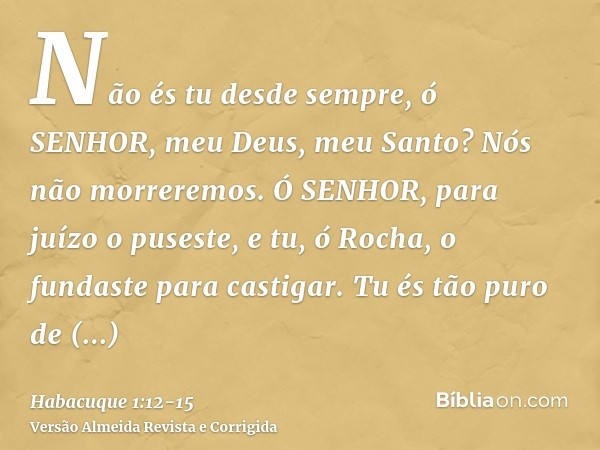 Não és tu desde sempre, ó SENHOR, meu Deus, meu Santo? Nós não morreremos. Ó SENHOR, para juízo o puseste, e tu, ó Rocha, o fundaste para castigar.Tu és tão pur