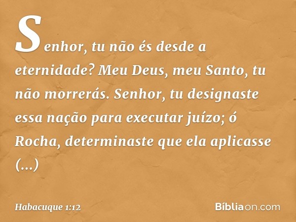 Senhor,
tu não és desde a eternidade?
Meu Deus, meu Santo,
tu não morrerás.
Senhor, tu designaste essa nação
para executar juízo;
ó Rocha, determinaste que ela
