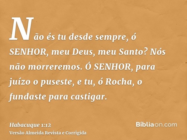Não és tu desde sempre, ó SENHOR, meu Deus, meu Santo? Nós não morreremos. Ó SENHOR, para juízo o puseste, e tu, ó Rocha, o fundaste para castigar.