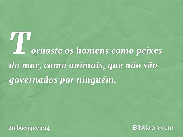 Tornaste os homens
como peixes do mar,
como animais,
que não são governados por ninguém. -- Habacuque 1:14