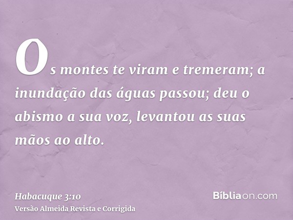 Os montes te viram e tremeram; a inundação das águas passou; deu o abismo a sua voz, levantou as suas mãos ao alto.
