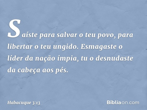 Saíste para salvar o teu povo,
para libertar o teu ungido.
Esmagaste o líder da nação ímpia,
tu o desnudaste da cabeça aos pés. -- Habacuque 3:13