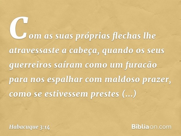 Com as suas próprias flechas
lhe atravessaste a cabeça,
quando os seus guerreiros saíram
como um furacão para nos espalhar
com maldoso prazer,
como se estivesse