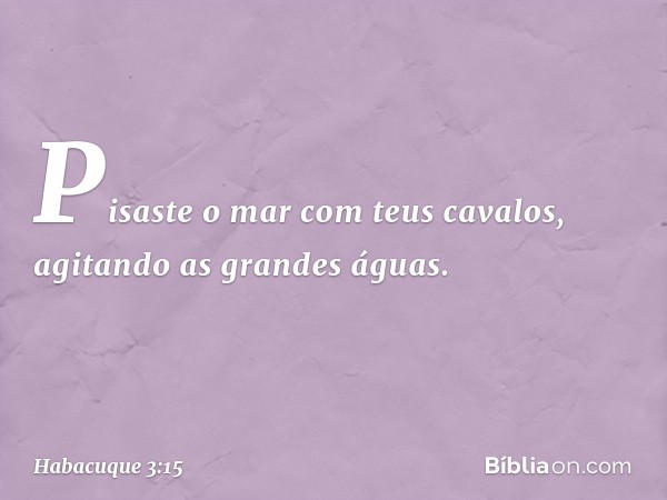 Pisaste o mar com teus cavalos,
agitando as grandes águas. -- Habacuque 3:15