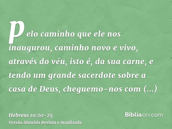 pelo caminho que ele nos inaugurou, caminho novo e vivo, através do véu, isto é, da sua carne,e tendo um grande sacerdote sobre a casa de Deus,cheguemo-nos com 