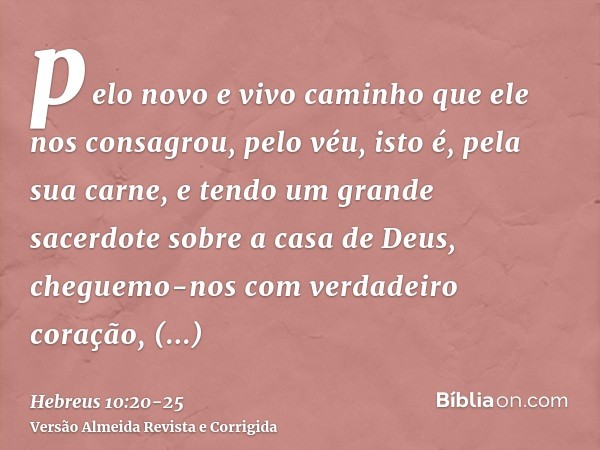 pelo novo e vivo caminho que ele nos consagrou, pelo véu, isto é, pela sua carne,e tendo um grande sacerdote sobre a casa de Deus,cheguemo-nos com verdadeiro co