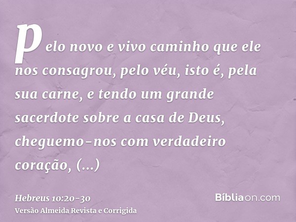 pelo novo e vivo caminho que ele nos consagrou, pelo véu, isto é, pela sua carne,e tendo um grande sacerdote sobre a casa de Deus,cheguemo-nos com verdadeiro co